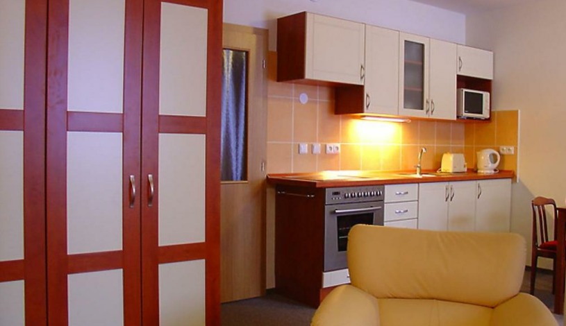Apartmány Bílé Labe Špindlerův Mlýn - 2/2S Čtyřlůžkový apartmán menší, 1/4 Čtyřlůžkové studio